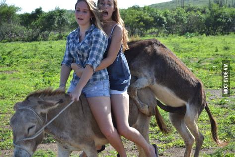 woman fucks animal|Country girls fucking every animal in the barn